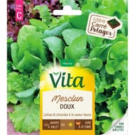 Vita Vilmorin mesclun doux