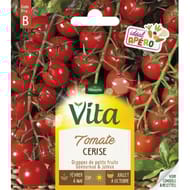 Vita Vilmorin tomate cerise