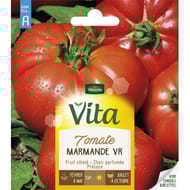 Vita Vilmorin tomate marmande vr