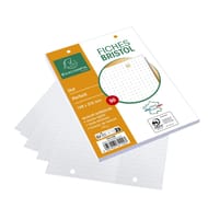 50 Fiche bristol blanches perforée 148x210 dot exacompta