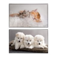 Sous main animaux chatons +chiots