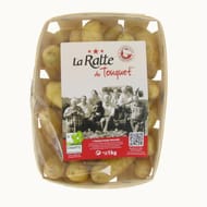 POMME DE TERRE FINE DE RATTE RATTE DU TOUQUET BOURRICHE 1KG