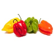 PIMENT ANTILLAIS