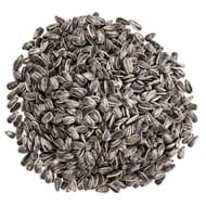 Graines de tournesol grillées salées sachet 500gr