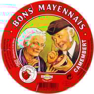 Bons Mayennais camembert au lait pasteurisé de vache 22% mg 250g