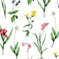 Serviettes x20 botania 25x25cm 3 plis