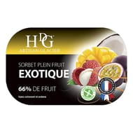 HDG bac sorbet exotique 487g