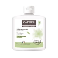 Cattier Shampoing argile verte cuir chevelu gras 250ml
