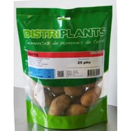 Pomme de terre ratte 25/32 clipack 25 plants