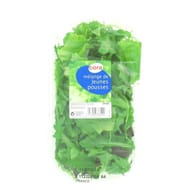 Mélange jeunes pousses Cora 125g