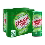 Cananda dry boite sleek 6x33cl