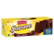 Savane familial tout chocolat 310g