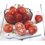 Tomate allongée