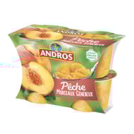 Andros dessert de pêches avec morceaux 4x100g