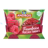 Andros dessert de framboises et pommes avec morceaux 4x100g