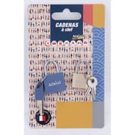 Lot de 2 cadenas métalliques à clef
