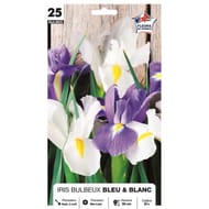 Assortiment iris bleu et blanc 9/+ x25