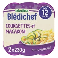 Bledina bledichef fondue de courgettes et macaroni dès 12 mois 2x230g