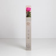 Rose naturelle stabilisée nouvelle couleur électrique fuchsia