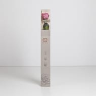 Rose naturelle stabilisée cherry vintage