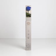 Rose naturelle stabilisée bleue royal