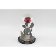 Rose sur tige sous cloche type "la belle et la bête"