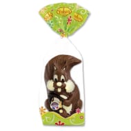 Rohan écureuil décoré en chocolat au lait  x1-220g