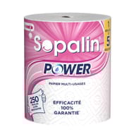 Sopalin essuie tout power 1=10 rouleaux