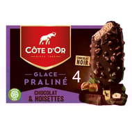 Côte d'or 4 bâtonnets praliné, chocolat noir & noisettes 260g