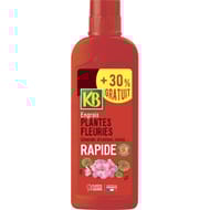 Engrais rapide plantes fleuries : géraniums, dipladénias, vivaces, promo 1l+30% gratuit