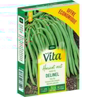 Vita Vilmorin haricot delinel eco