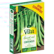 Vita Vilmorin haricot contender eco
