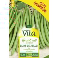Vita Vilmorin haricot blanc juillet grimpant vert éco
