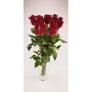 9 roses rouge 40 cm bouton 3.8 cm