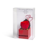 Bouton de rose naturelle stabilisée dans pot magnétique