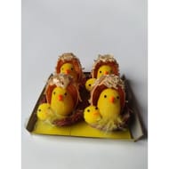 Set 4 nids poussins et coquille