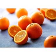 Orange Maltaise