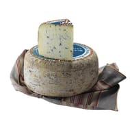 Bleu des basques lait pasteurisé brebis