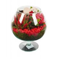 Composition 2 plantes en verre cognac