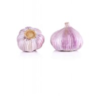 Ail violet 3 tetes