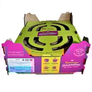 Pommet de terre amandine 25/30 en clayette de 100 plants
