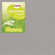 Cora serviettes x50 gris argent 33x33cm 2 plis