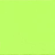 Cora serviettes x50 vert granny 33x33cm 2 plis