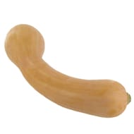 COURGE BUTTERNUT LE KILO