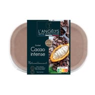 L'Angelys sorbet plein fruit cacao intense 750ml 500g