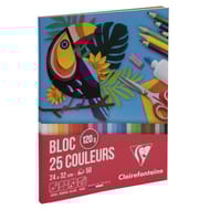 Clairefontaine bloc dessin 240x320 50f blanc 120g