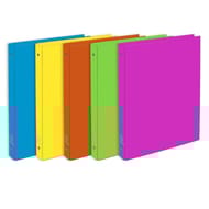 Exacompta classeur xl dos 40 4 anneaux polypro opaque néon 5 couleurs assorti