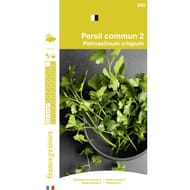 France graines persil commun 2