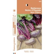 France graines betterave potagère plate d'Egypte