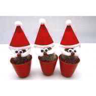 Cactus decoré pot rouge pot 6 cm
